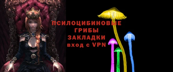 молекула духа Горно-Алтайск