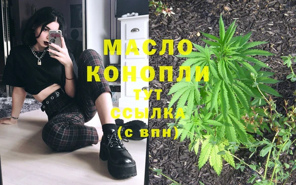 молекула духа Горно-Алтайск