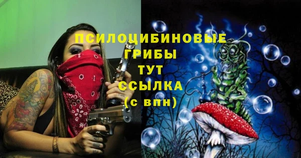 меф Вяземский