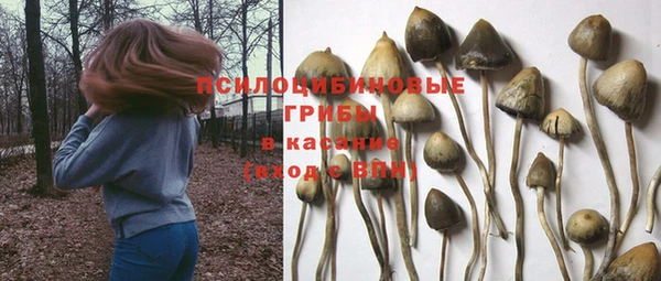 ешки Горняк