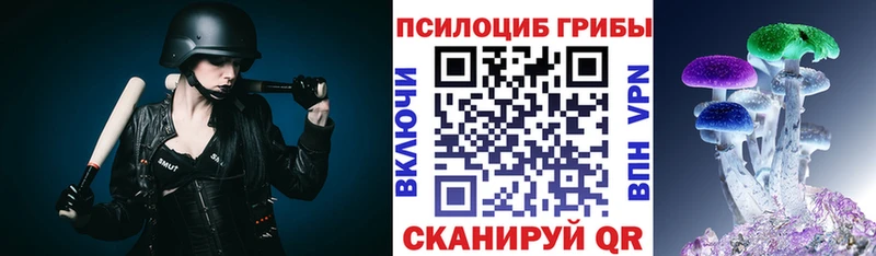 OMG ссылки  купить  цена  Давлеканово  Галлюциногенные грибы мицелий 